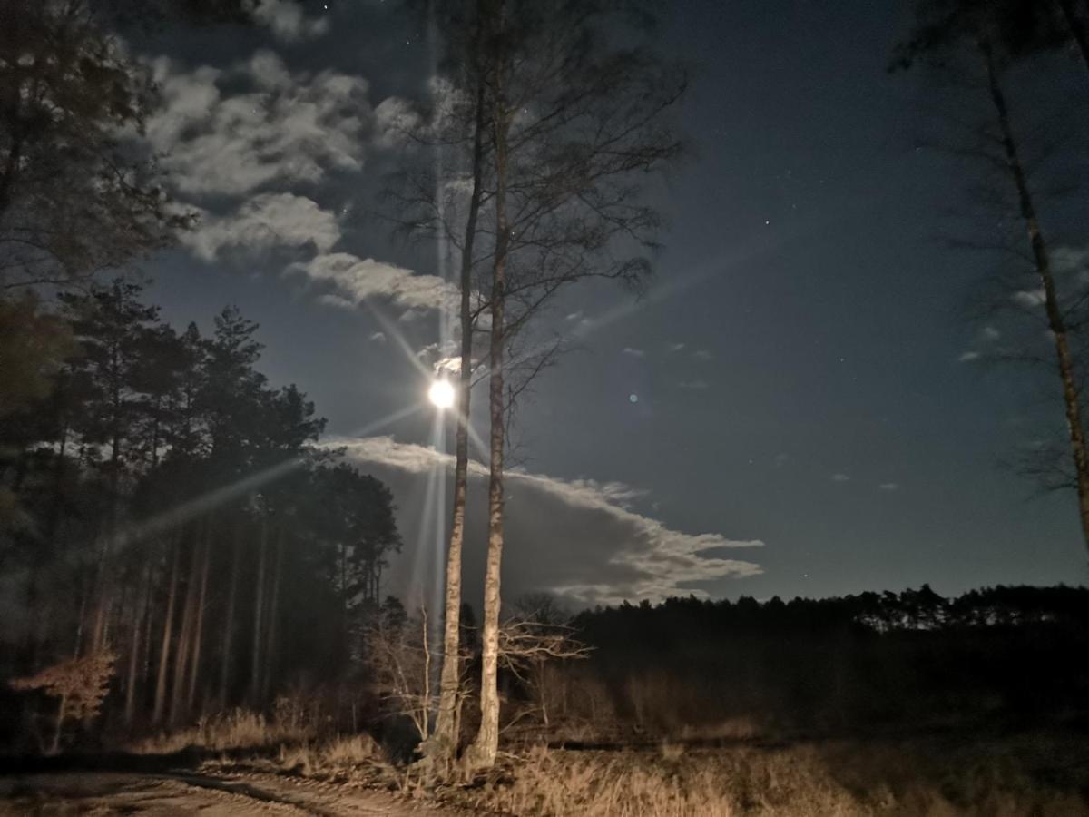 Agroturystyka Plener Miedzichowo エクステリア 写真