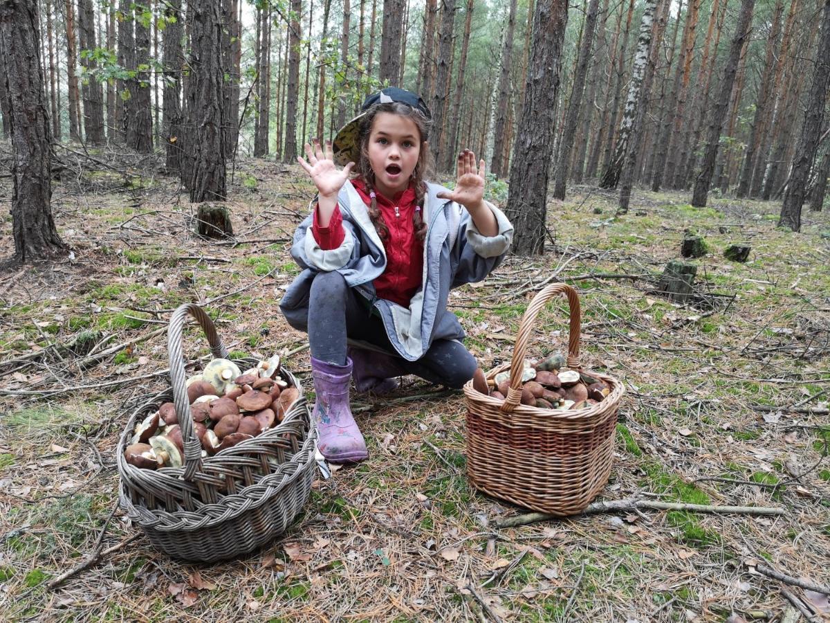 Agroturystyka Plener Miedzichowo エクステリア 写真
