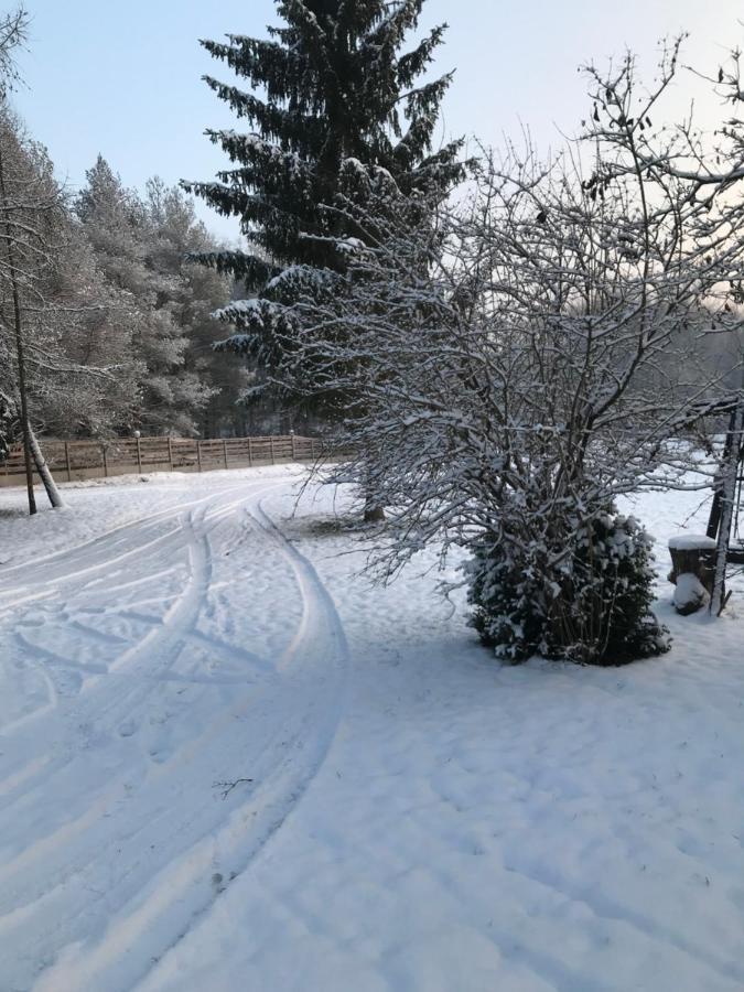 Agroturystyka Plener Miedzichowo エクステリア 写真